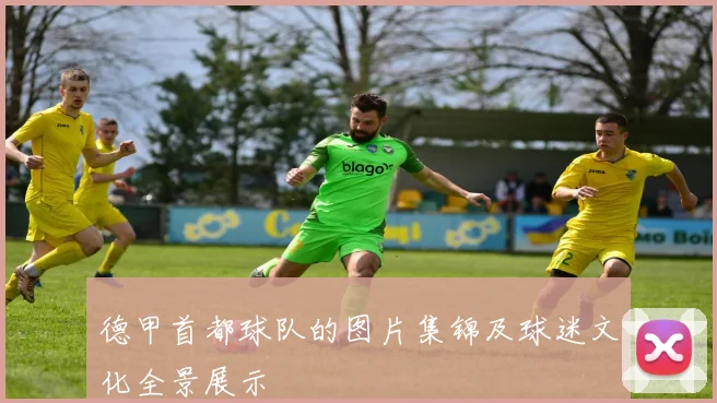 德甲首都球队的图片集锦及球迷文化全景展示