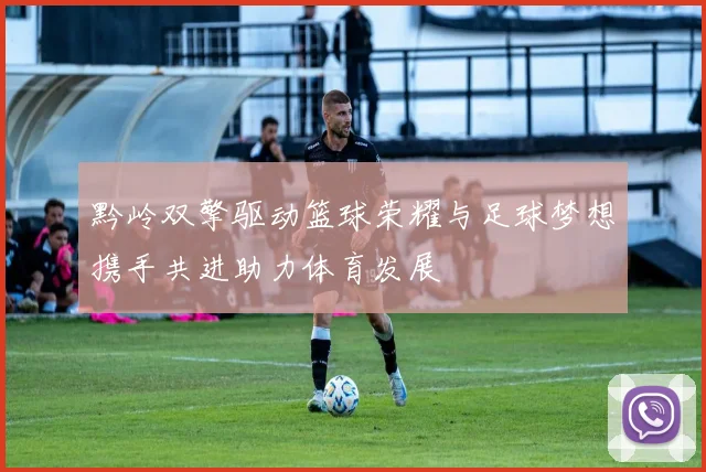 黔岭双擎驱动篮球荣耀与足球梦想携手共进助力体育发展