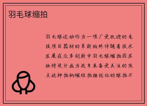 羽毛球缩拍